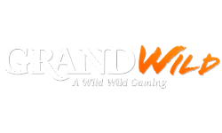 Read our Grand Wild Casino review