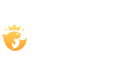 Read our Joo Casino review