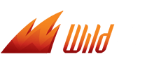 WildSlots Casino